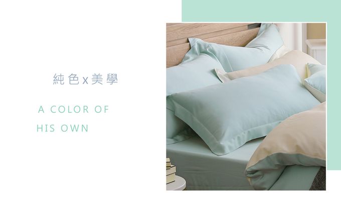 鴻宇 HongYew - 雙人兩用被套/ 天絲300織 / 素色 天絲 萊賽爾-最好的里爾克