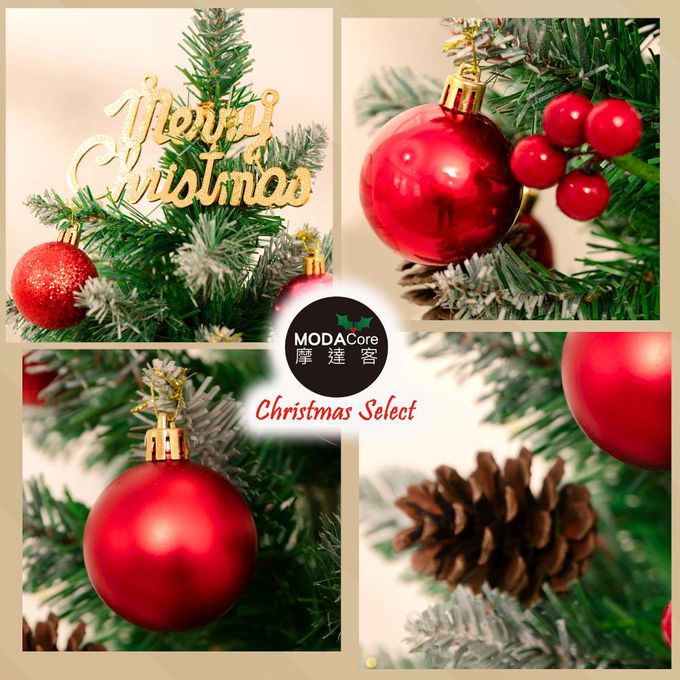 MODACore 摩達客 - 摩達客耶誕-55cm頂級優雅紅果植雪松果原木底座聖誕樹/含紅球系配件/本島免運費