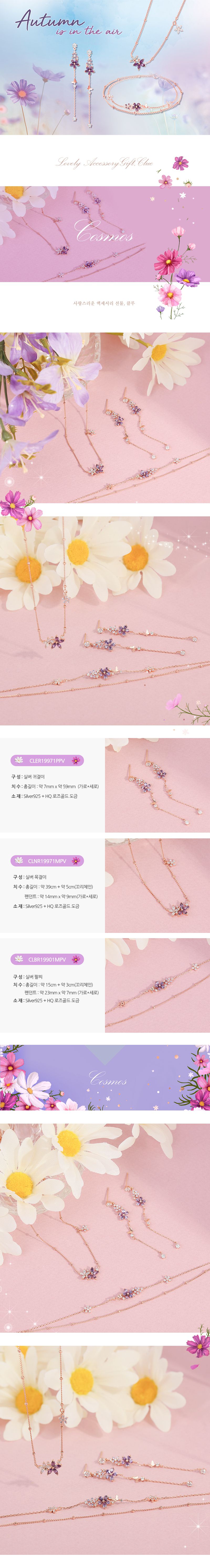 韓國 Clue - 925純銀項鍊-純淨波斯菊