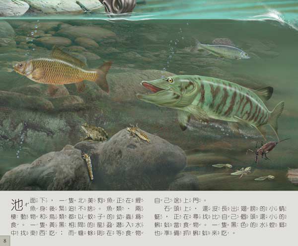 音效書新品上市♔孩子的第一本古典音樂啟蒙 ♫