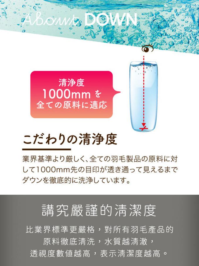 ROMANCE 小杉 - 日本製保加利亞輕量保暖白色羽絨被150x210cm