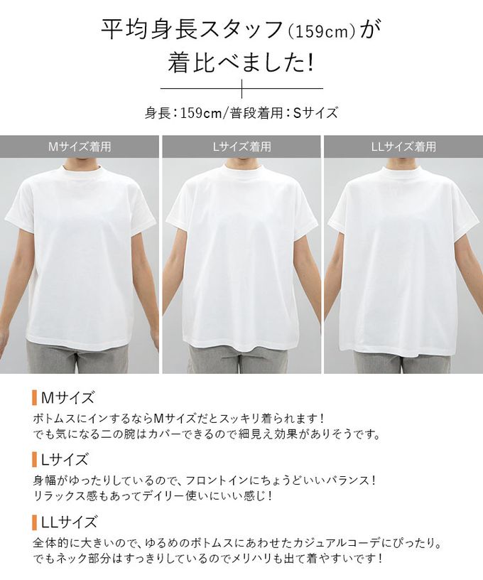 日本 Kobe Lettuce - 100%棉 修身法式袖上衣-(可選領)-海軍藍白條紋