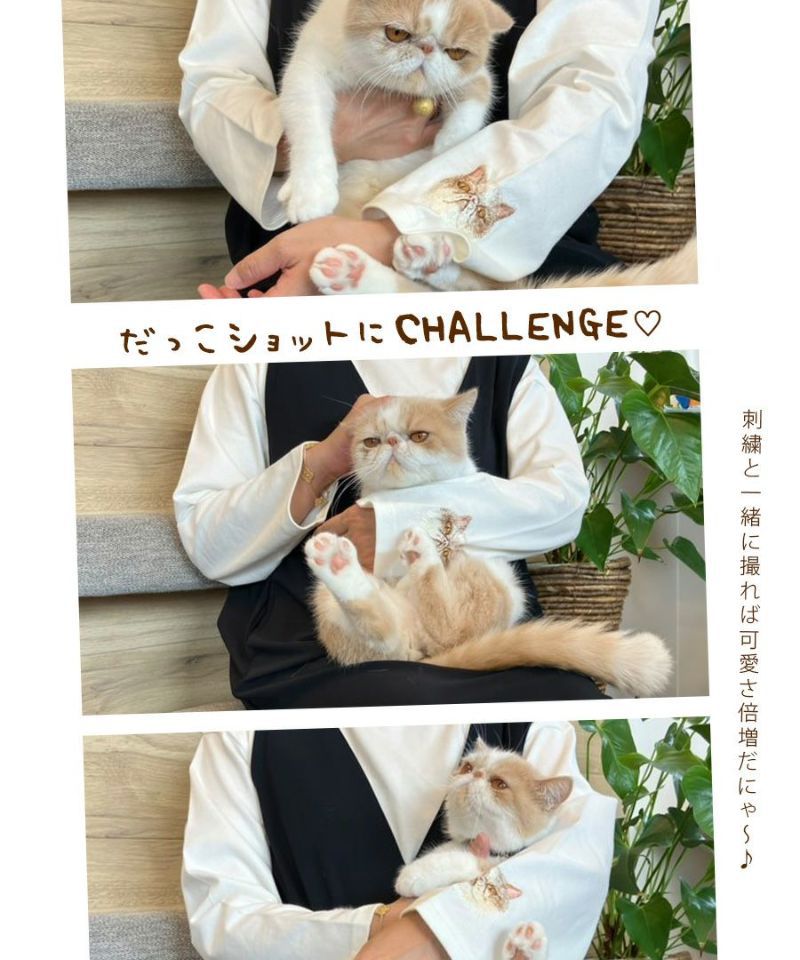 日本 zootie - 貓咪系列 抗透汗貓咪刺繡長袖上衣-扁臉貓-白