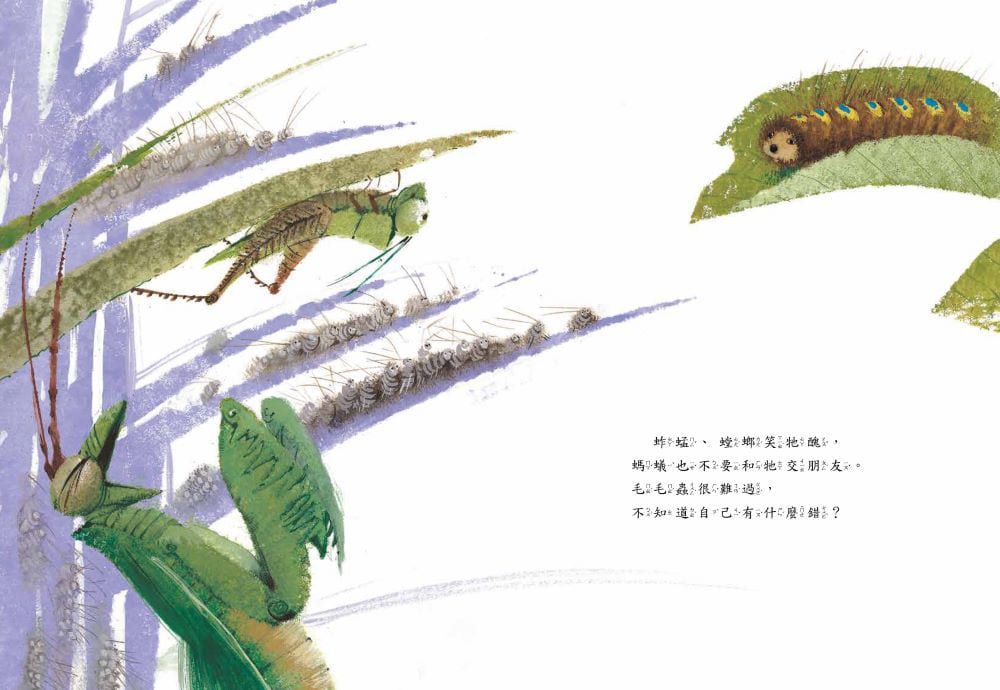 熊夢蝶　蝶夢熊 （雙封面設計+獨家書衣珍藏版）-精裝