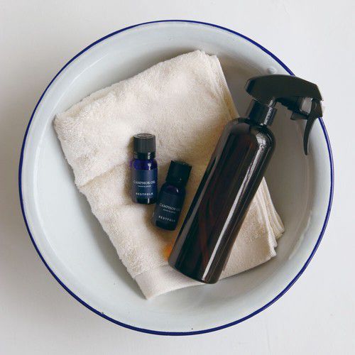 【日本 RESTFOLK】 天然樟楠木 ✧ 雨季必備防霉好物