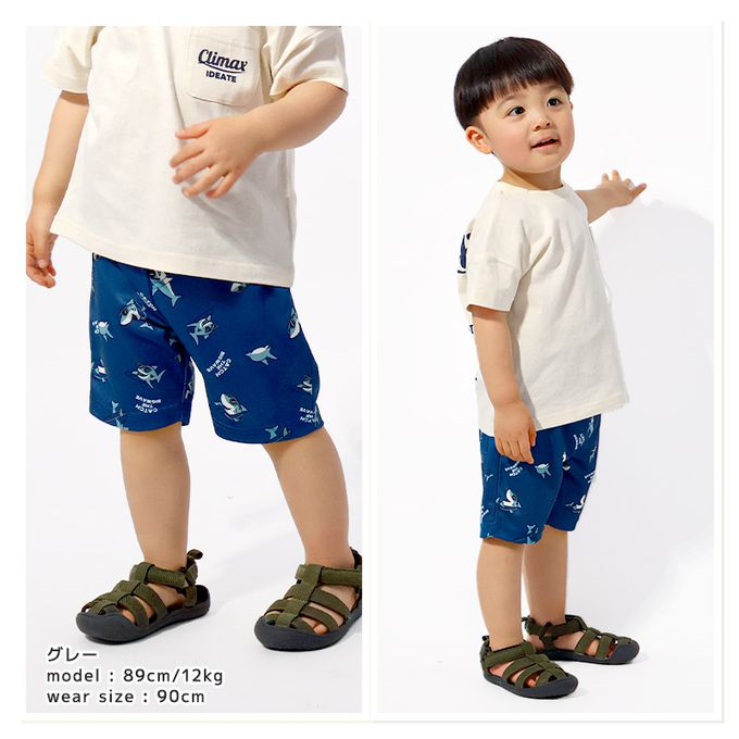 日本 ZOOLAND - 接觸冷感 透氣鯊魚印花短褲-深藍