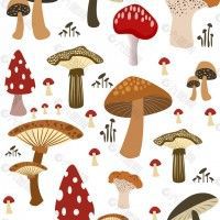用戶頭像