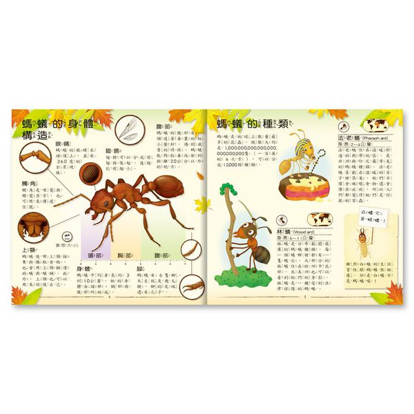 世一文化 - 原來螞蟻的家長這樣