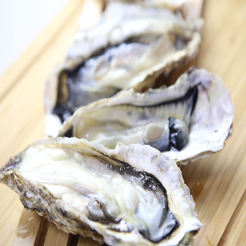 【卡馬龍】生食級干貝/白晶蝦/和牛漢堡排/波士頓龍蝦