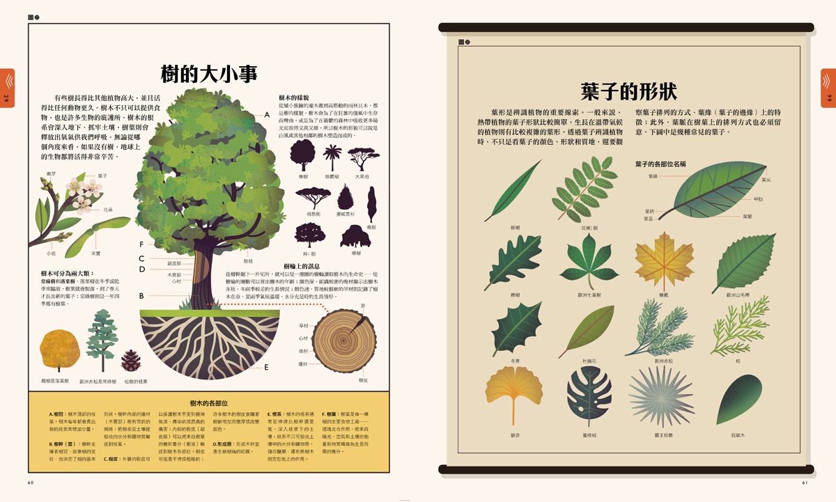 自然大視界：不可思議的生態奧祕圖鑑