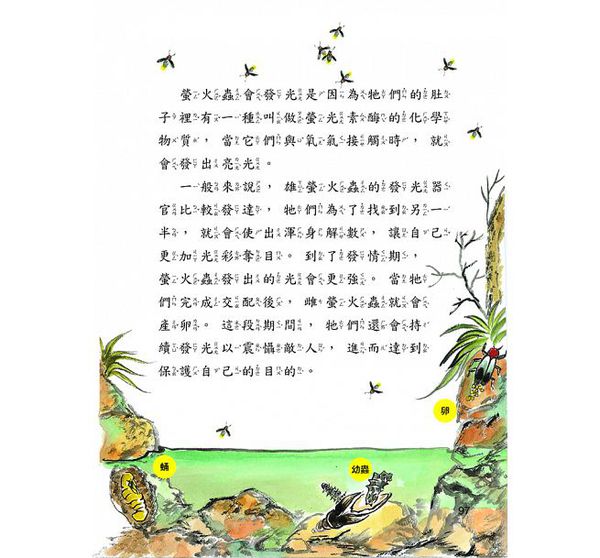 昆蟲大生態-10萬個小知識(1)