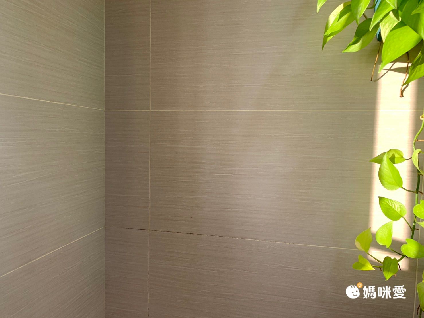 婚姻救星打掃神器【VOAR WASH SPIN C 無線電動清潔機】