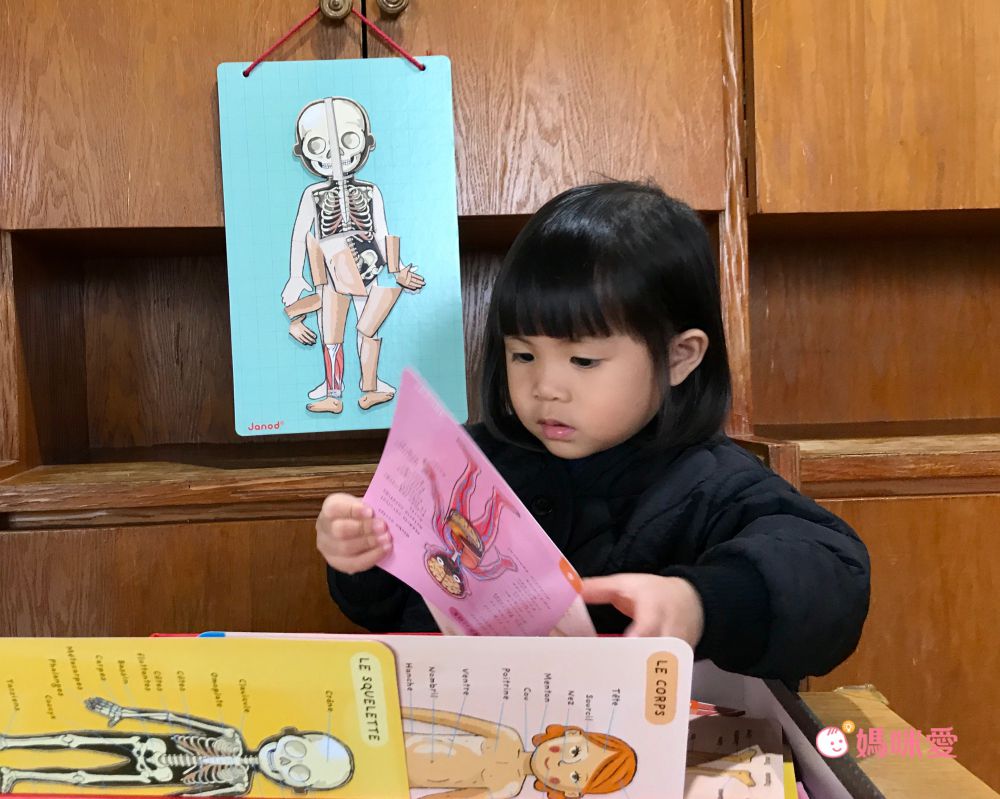 法國Janod - 【熱賣】磁鐵遊戲書-我的身體