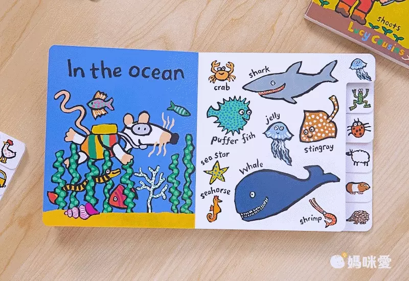 小鼠波波陪你慶生、過聖誕！最應景的外文遊戲書