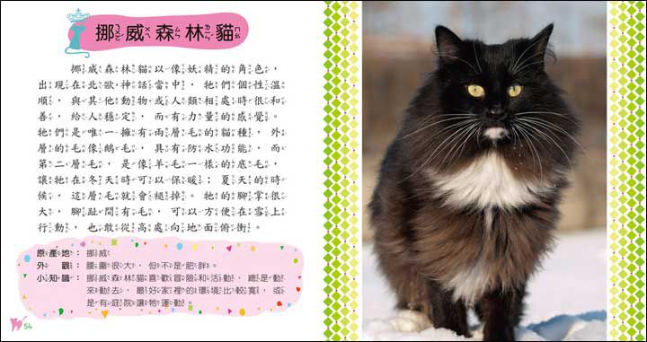 寵物小百科(全新小百科 正方形)