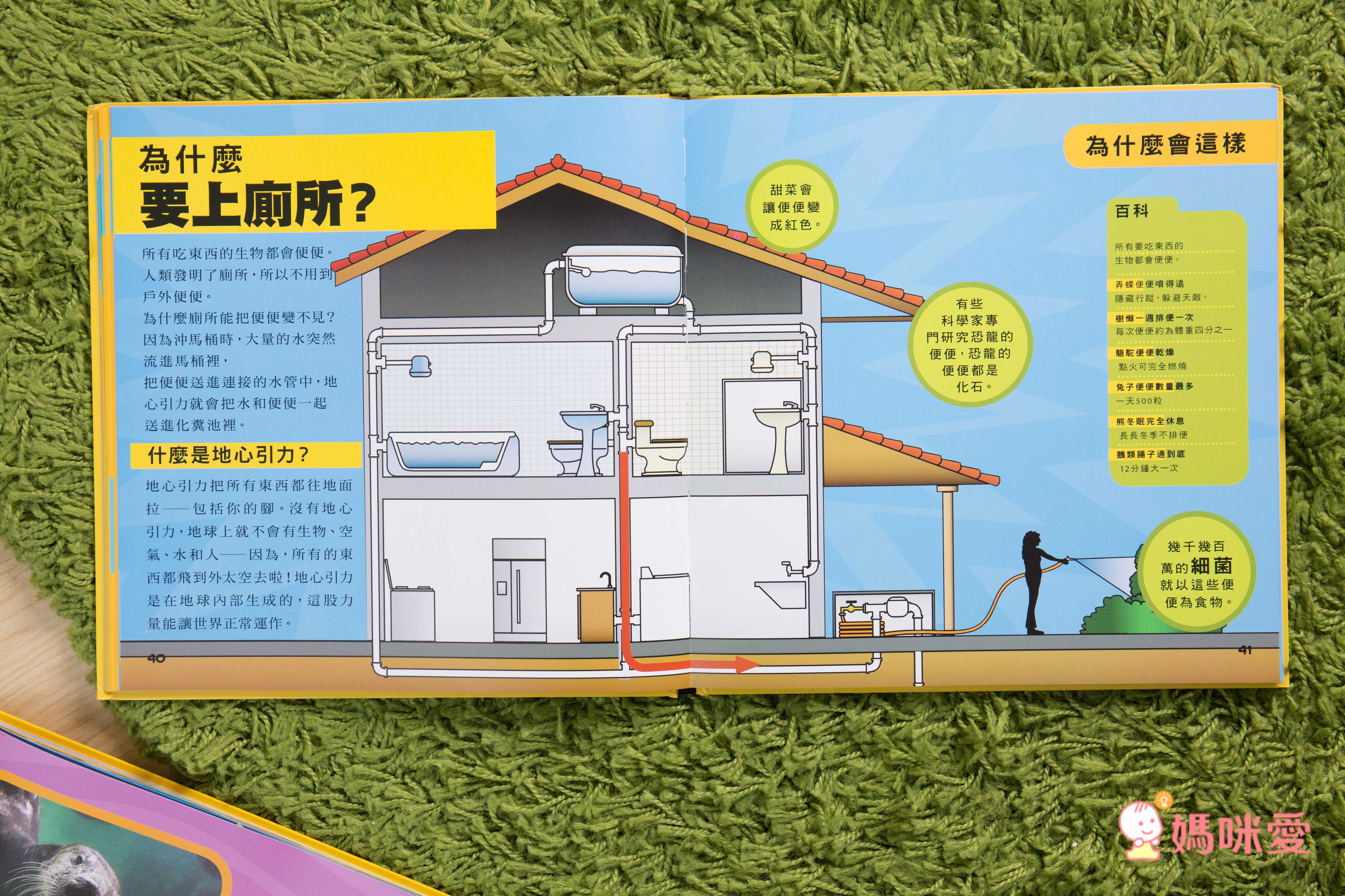 小小知識探險家 (精裝 / 128頁 / 全彩印刷)