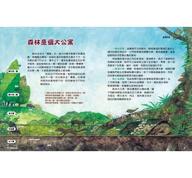 科學素養練功房：科學驚歎號-精裝