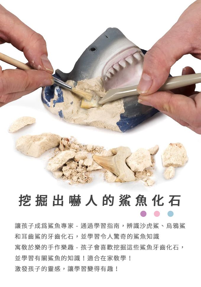 NATIONAL GEOGRAPHIC - 國家地理頻道 探秘鯊齒挖掘套組