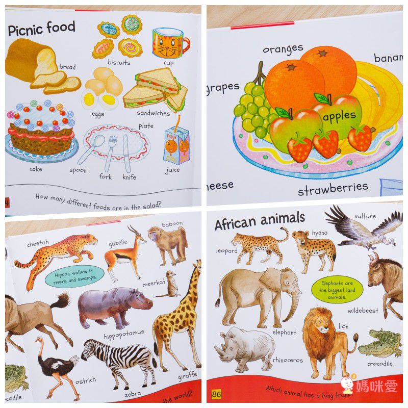 【最受歡迎的有聲英文書單】英文繪本10書＋10CD～大野狼熱銷缺貨款補貨到！