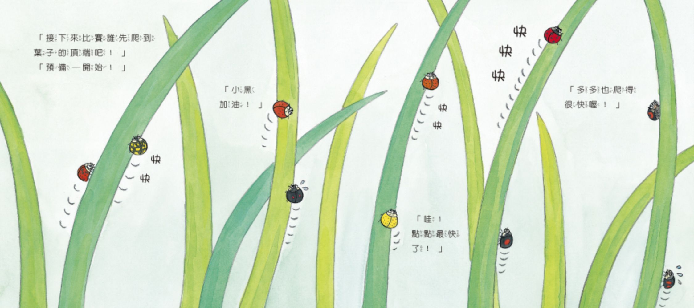 【認識蟲蟲世界】-小瓢蟲來玩耍