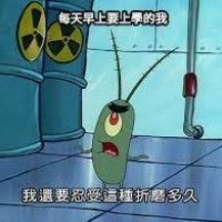 用戶頭像