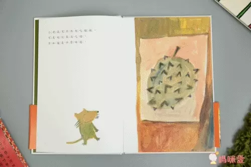 《誰的襪子》超有趣的找找書！訓練孩子專注力＆觀察力