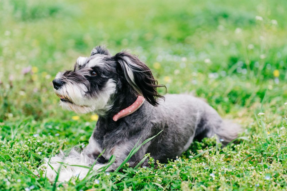 買就送專屬保冷劑【Smart Ring 智慧涼感環  體感降溫4°C】