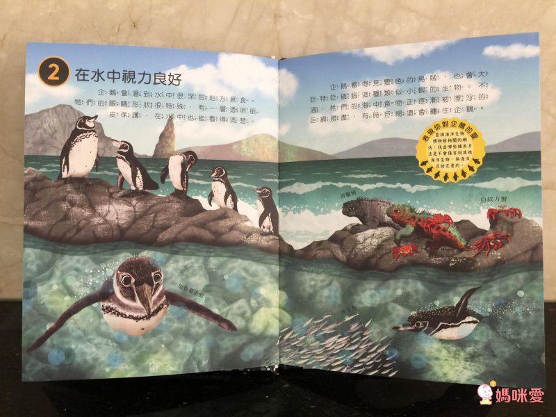 10理由讓你愛上動物！【閣林文創 】生命教育最佳入門書 / 環遊世界之旅 / 恐龍繪本♕大孩子一定要入手的暢銷套書！