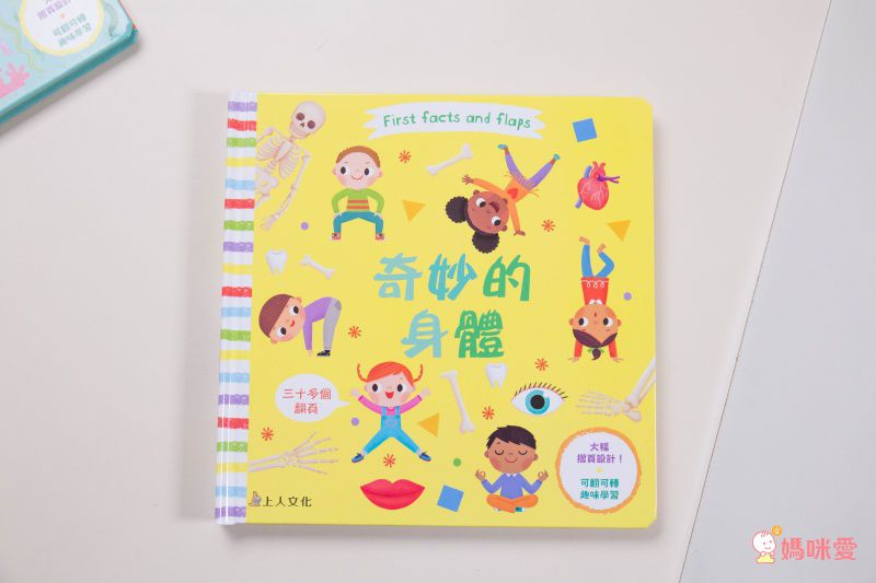 ★打造聰明好腦袋★益智翻翻小百科 / 童趣推拉轉操作書大集合！