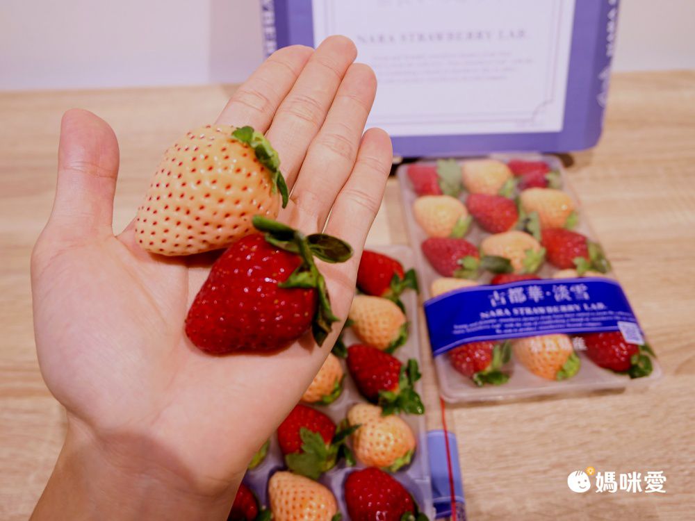 日本空運直送 奈良縣產 古都華、淡雪草莓