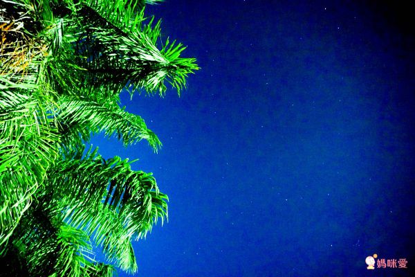 統一渡假村【新竹馬武督】全面升等四人房❤全新綠野仙蹤秘境，孩子放電太好玩！