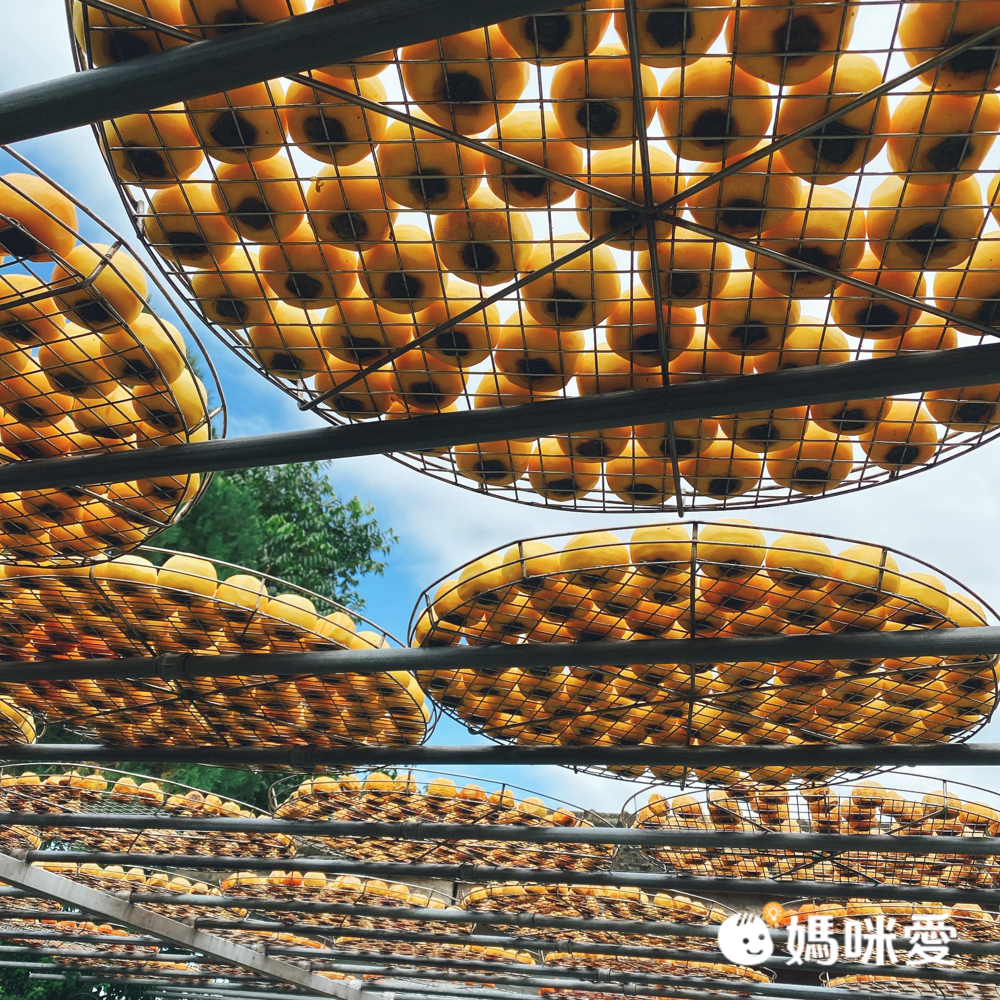 【寒假快樂出遊書單】跟著地圖認識台灣！