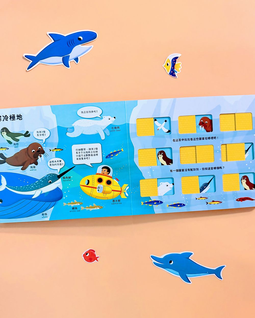 推推記憶遊戲書-海洋大考驗｜媽咪愛