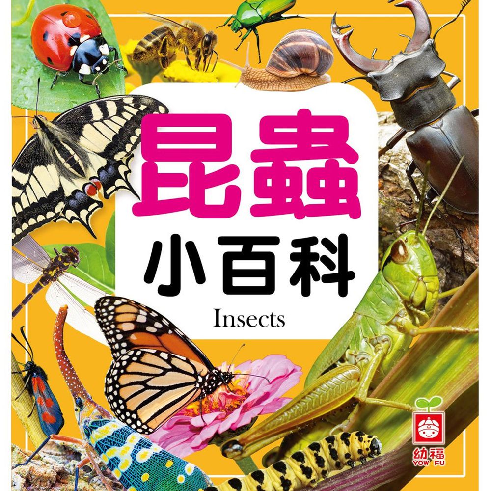 昆蟲小百科(全新小百科 正方形)