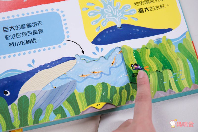 ★打造聰明好腦袋★益智翻翻小百科 / 童趣推拉轉操作書大集合！