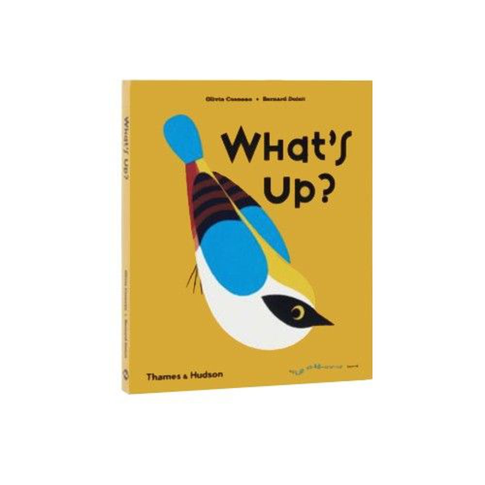 Thames and Hudson - A Flip Flap Pop Up Book-What's Up?