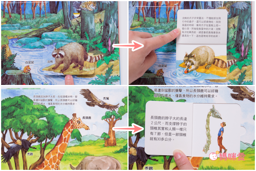 在家輕鬆玩實驗《STEAM 實驗魔法盒》，成為小小科學家好簡單！