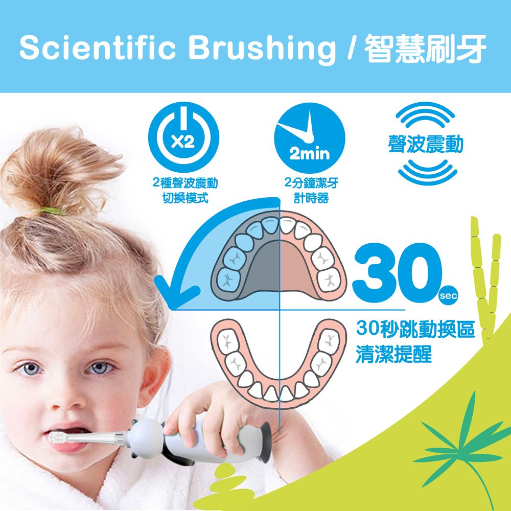 英國 brush-baby - 充電式聲波電動牙刷-企鵝-帕西-0-10歲