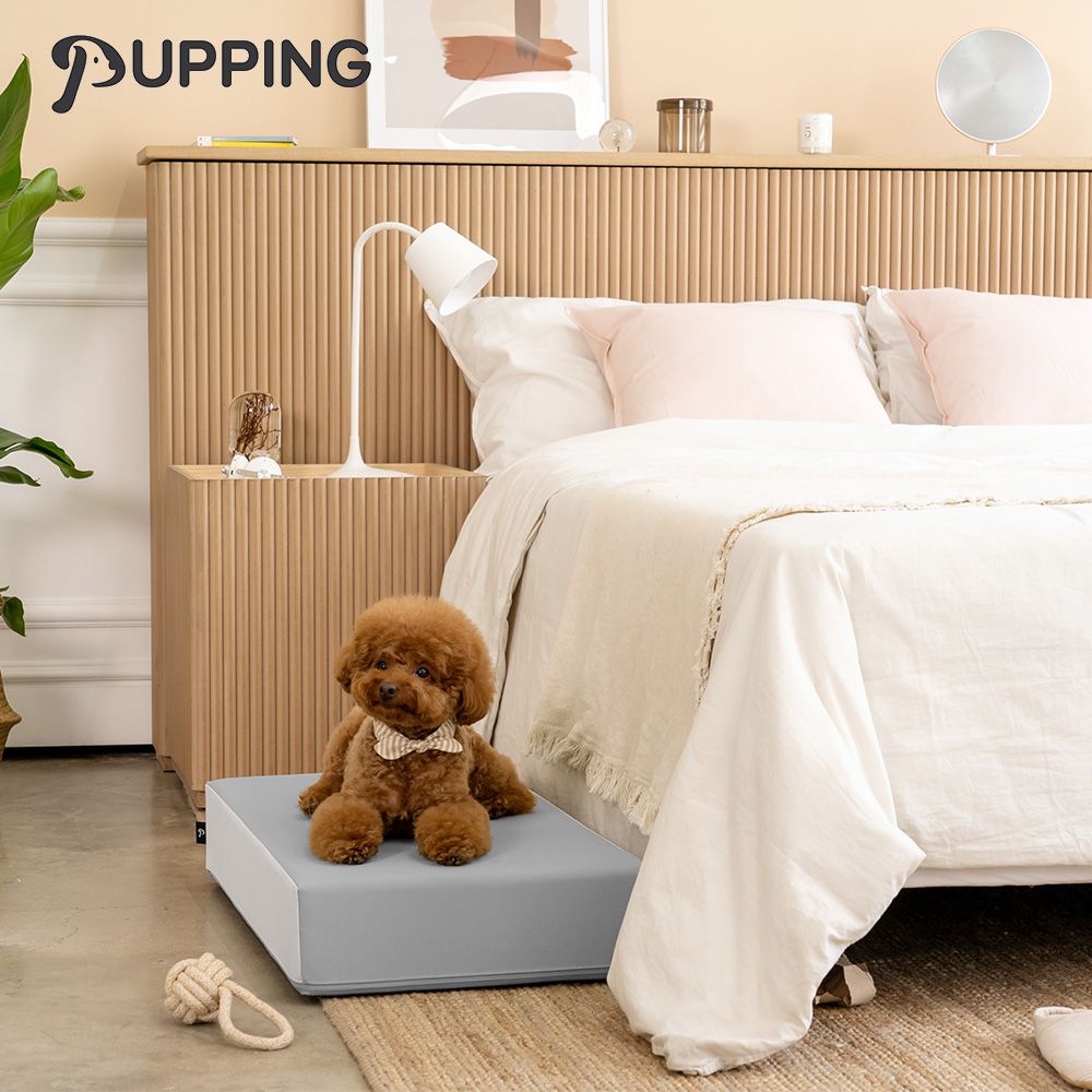 韓國寵物防滑平台 - 深灰色