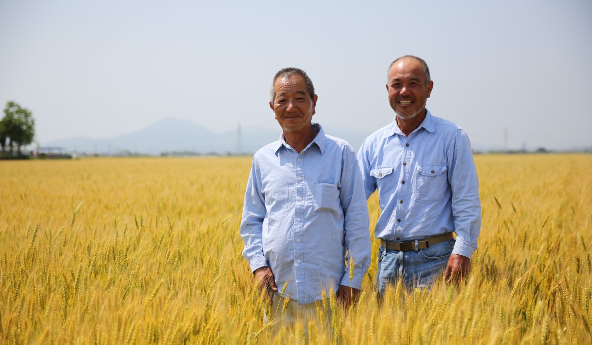 九州Pancake - 和紅茶鬆餅粉1入-效期到2022-11-07-200g/包