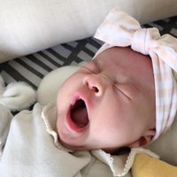 美國baby bling - 純手工極優雅細緻輕柔微彈性/毫無束縛感蝴蝶結髮帶/髮飾_印花經典款-純美粉格