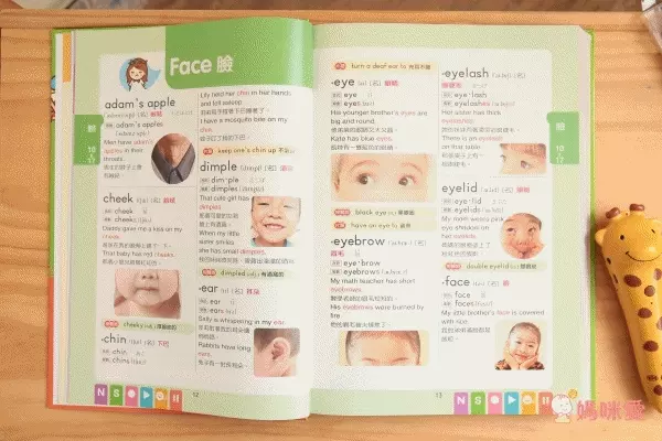 世一文化主題式圖解彩色兒童英漢點讀字典