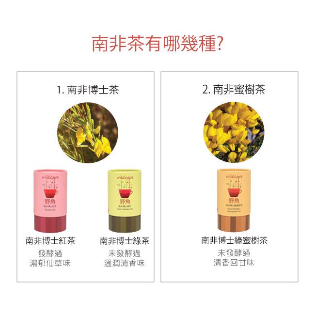Wild Cape野角 - 南非博士綠茶-1罐-100g