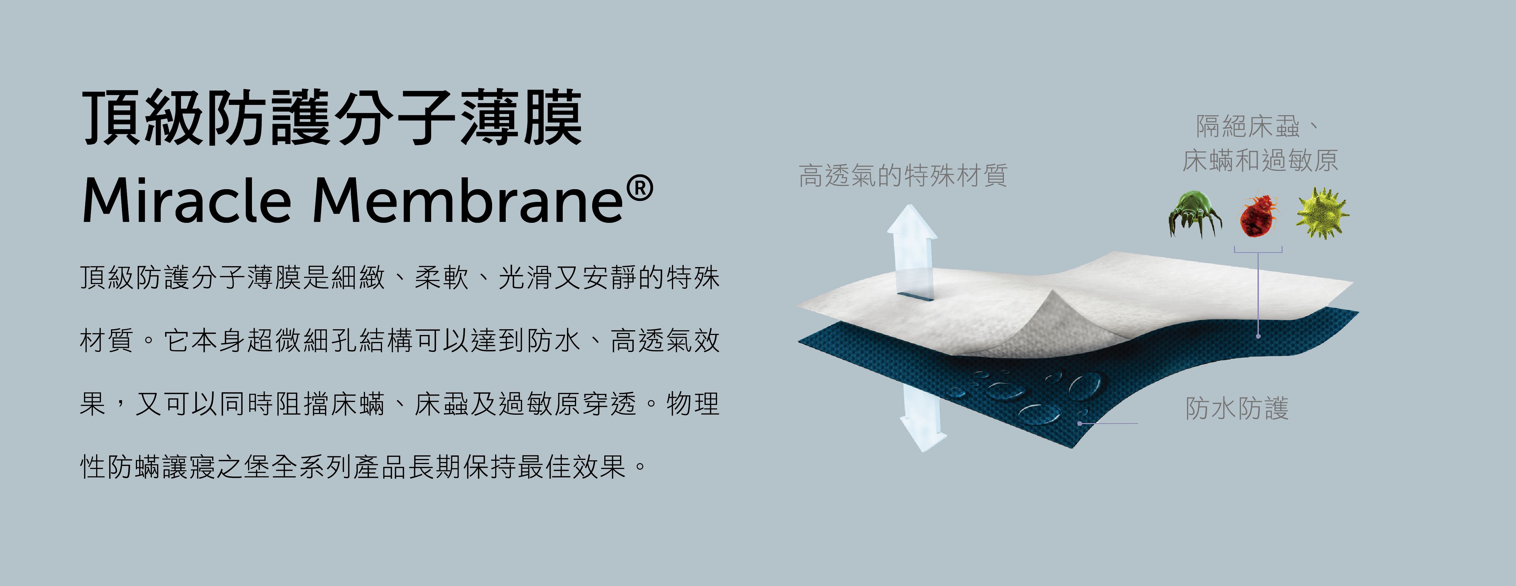 美國寢之堡 - Allerzip 全密封拉鍊式床墊套 (適用床墊厚度 25 公分)-單人-105*190*25cm(3.5*6.2尺)