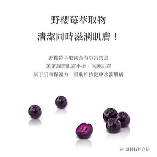 銀離子抗菌｜輕厚野櫻莓｜純水濕紙巾-有蓋大包-淺紫色-74抽10包