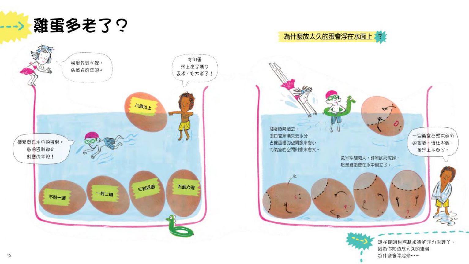 藏在蛋裡的科學