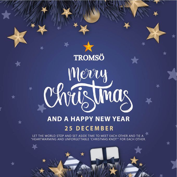 TROMSO - 北歐絕美聖誕樹-丹麥典藏金紅 (210cm)