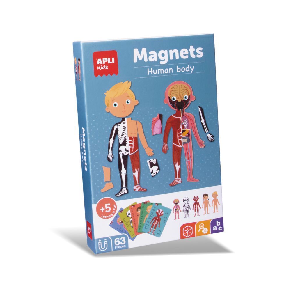 認識身體器官學習卡-英文版