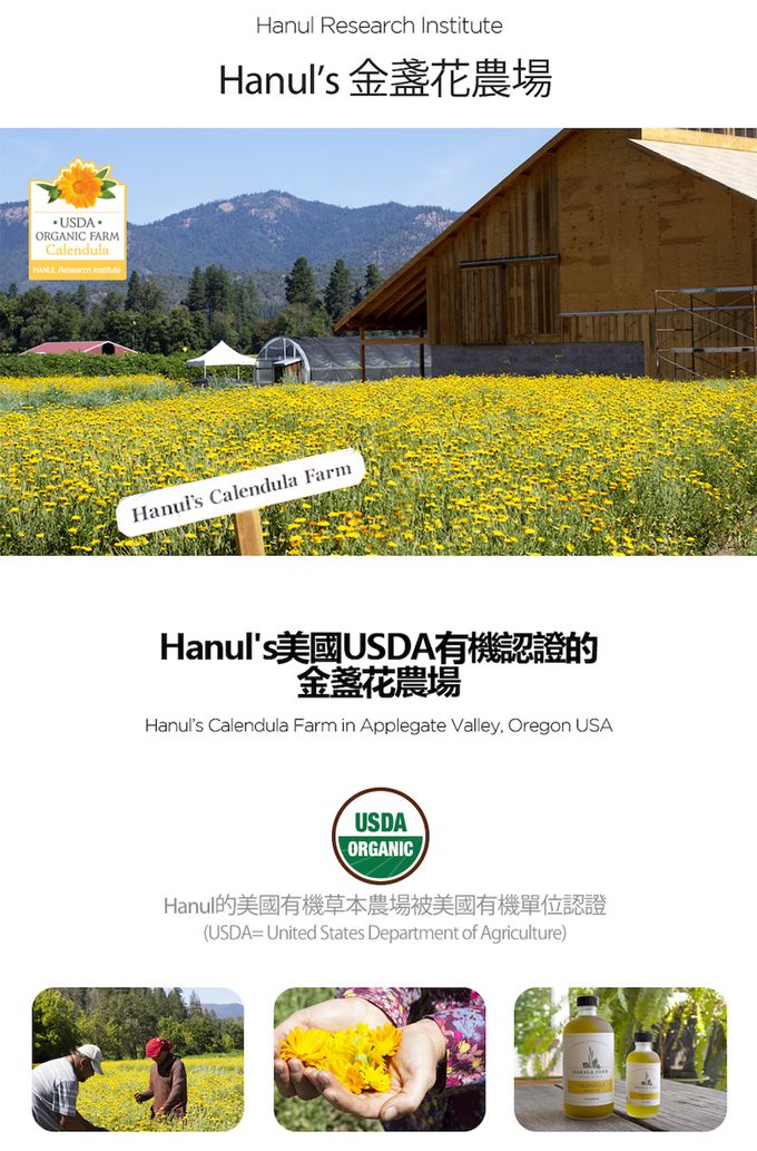 韓國RICO baby - 金盞花寶寶洗手慕斯 500ml