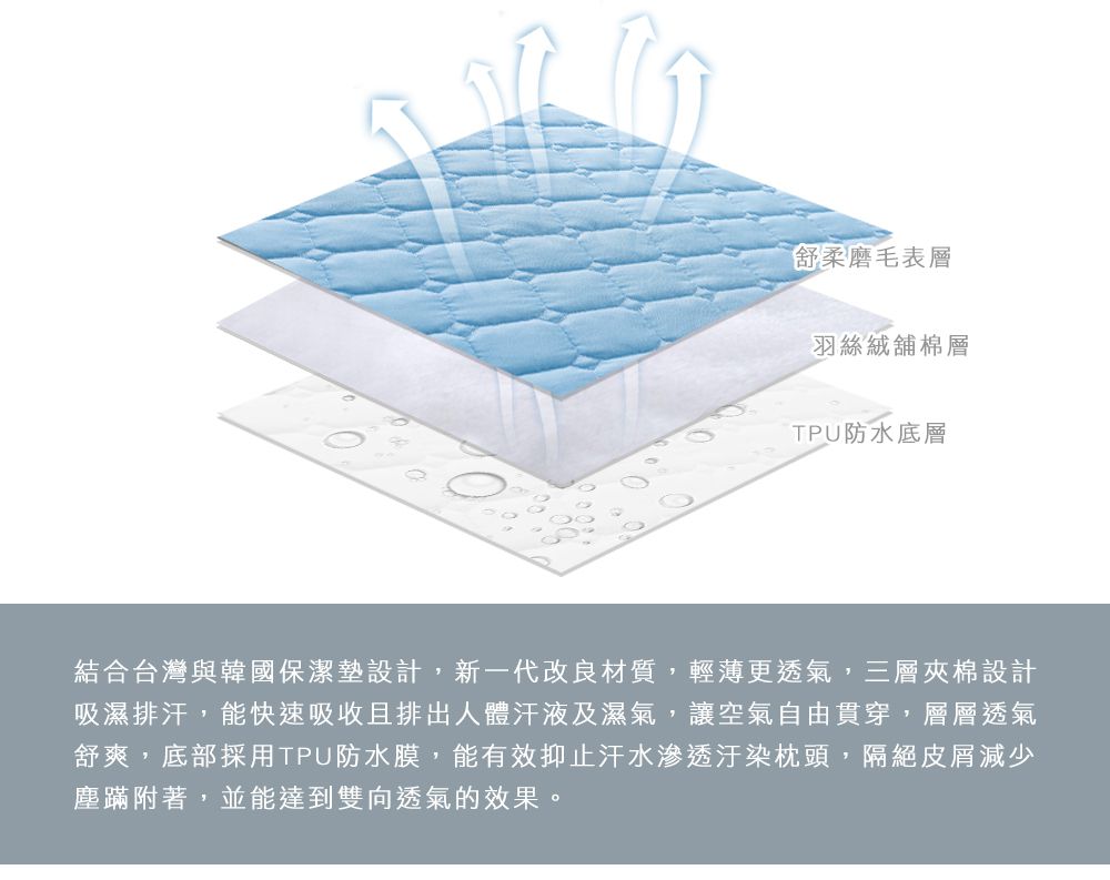 MIGRATORY 媚格德莉 - 100%高效防水透氣保潔枕套-2入-藍色 (50x75cm)
